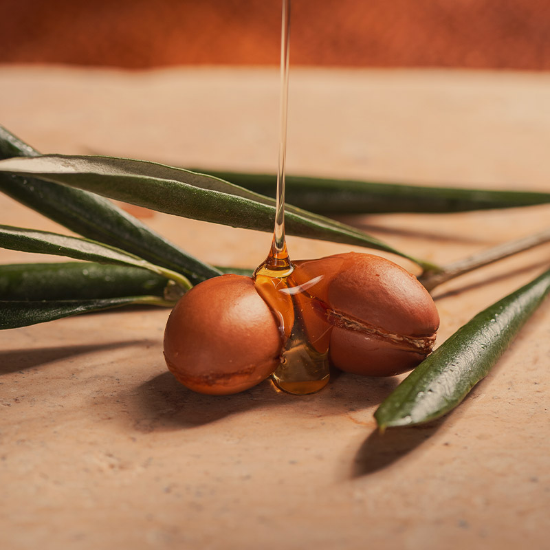 Moroccan Argan oil is poured onto a bed of argan seeds, surrounded by long argan leaves. This display showcases the natural source of a prized ingredient in beard care products.